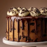 Chocolate Chip Cake with Ganache Drip – A Delightful Treat First Image